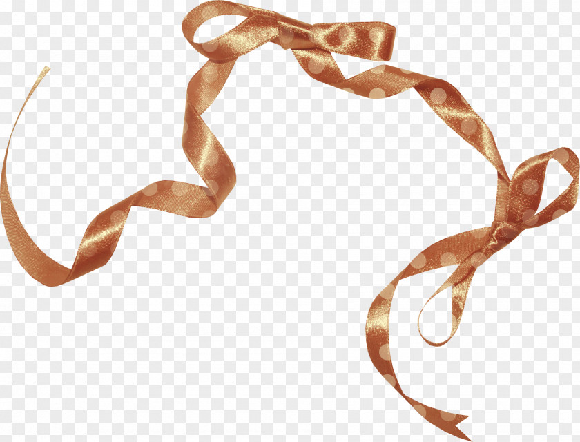 Brown Silk Ribbon Shoelace Knot PNG