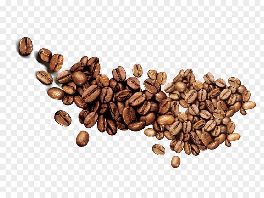 Coffee Beans Jamaican Blue Mountain Food Five Grains Lollipop PNG