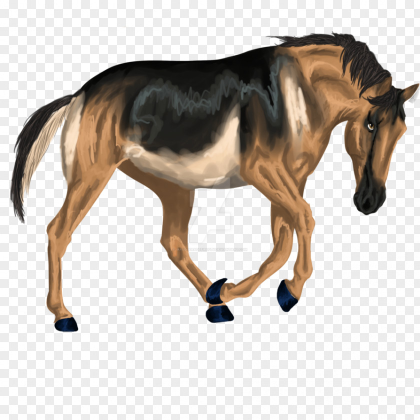 Mustang Mane Foal Rein Pony PNG