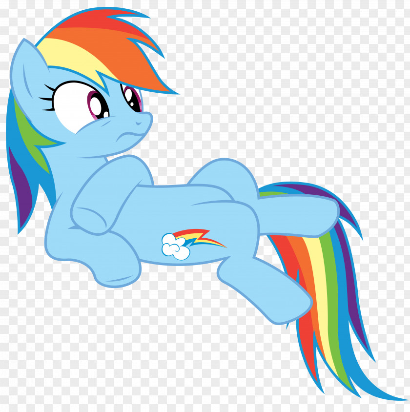 Rainbow Pony Dash Fluttershy Horse PNG