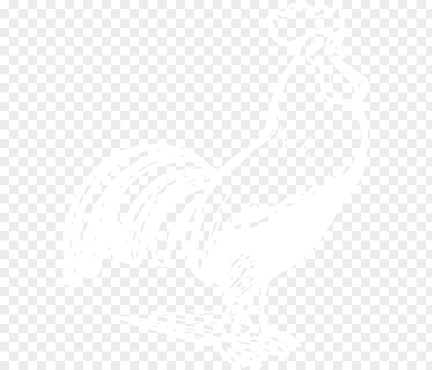 Rooster Business Email Logo Information Organization PNG