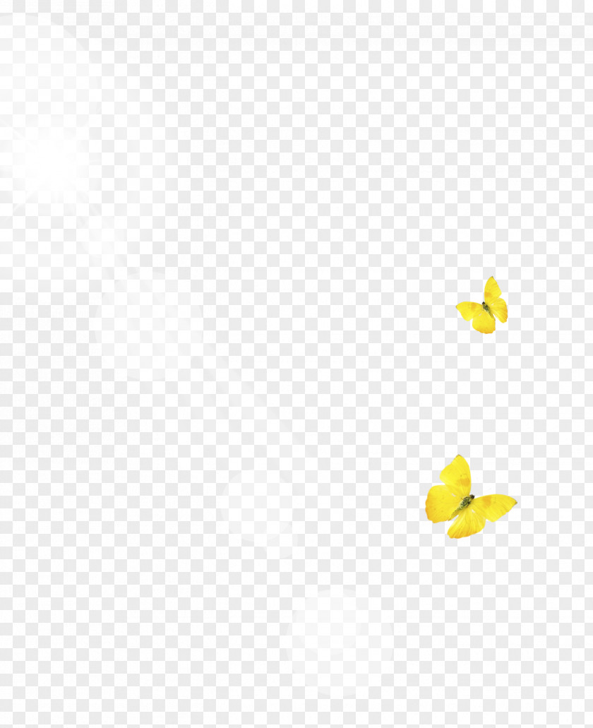 Butterfly Sun Rays Line Angle Point Yellow Pattern PNG