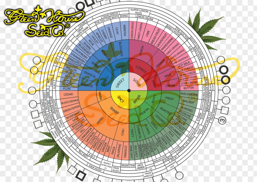 Cannabis Medical Flavor Terpene Marijuana PNG