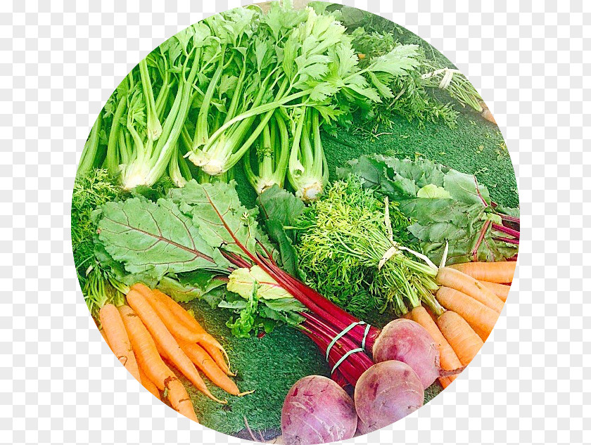 Eat Your Vegetables Day Mirepoix Vegetarian Cuisine Spring Greens Chard Rapini PNG