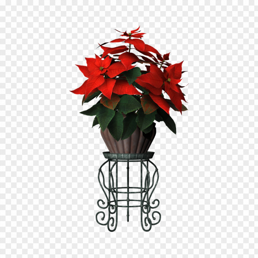 Flower Pot Flowerpot Poinsettia Plant PNG
