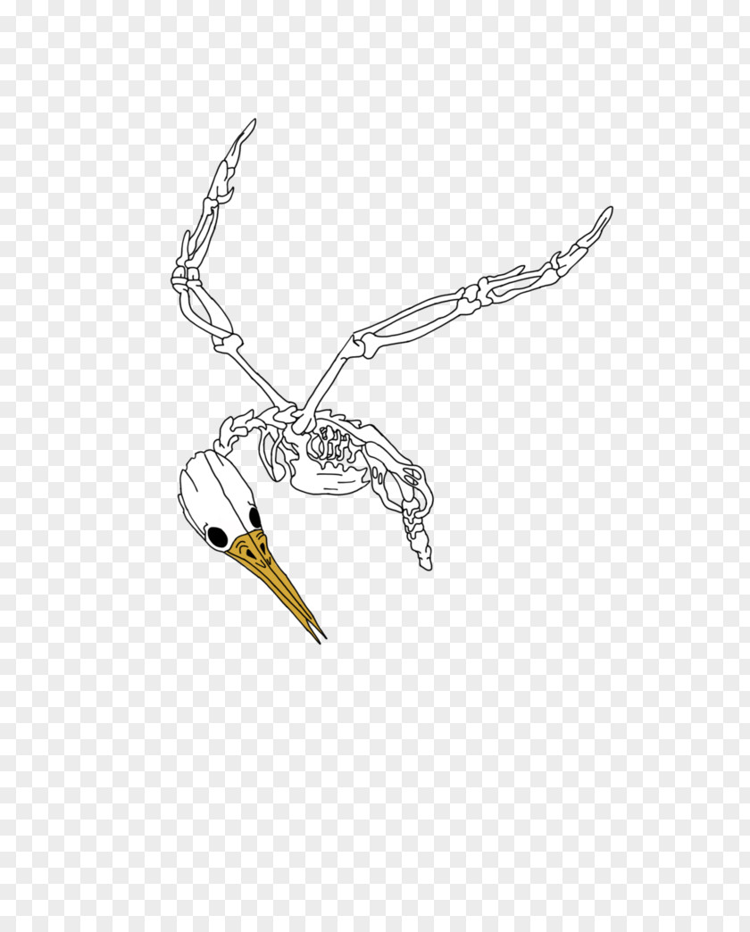 The Hunger Games Bird Drawing Clothing Accessories Beak PNG