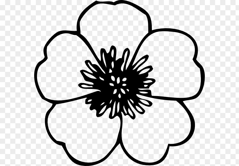 Clip Art Openclipart Free Content Flower Black PNG