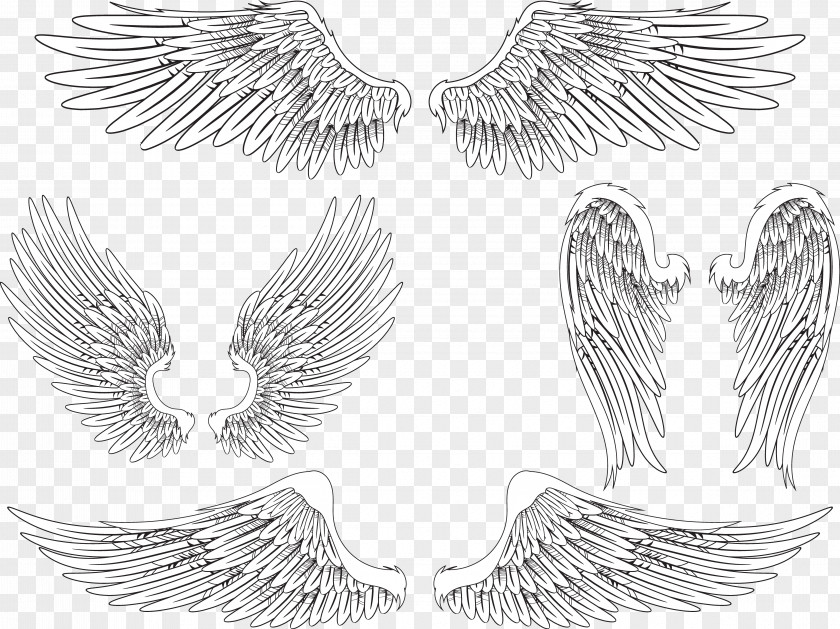 Creative Wings Angel Wing Bird Feather PNG