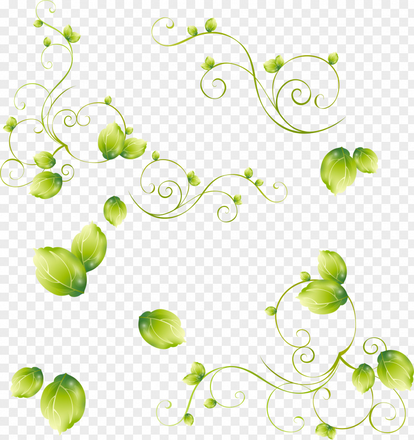 Green Leaves Leaf Clip Art PNG