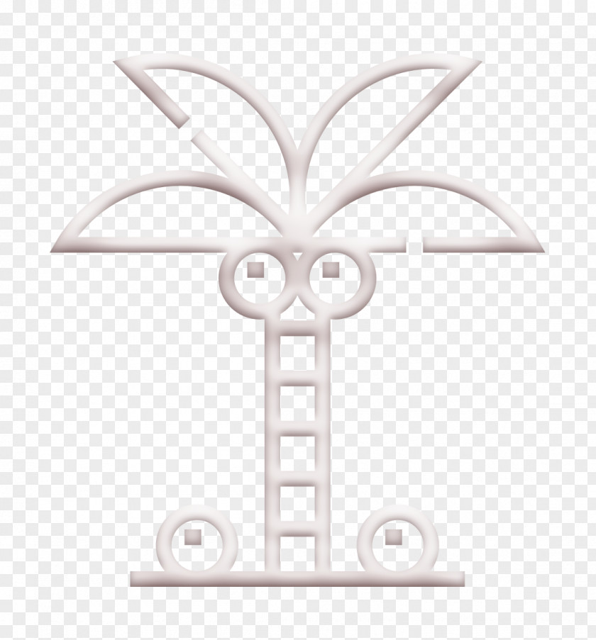 Island Icon Tropical Coconut Tree PNG