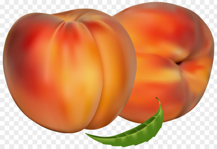 Peach Fruit Nectarine Auglis PNG