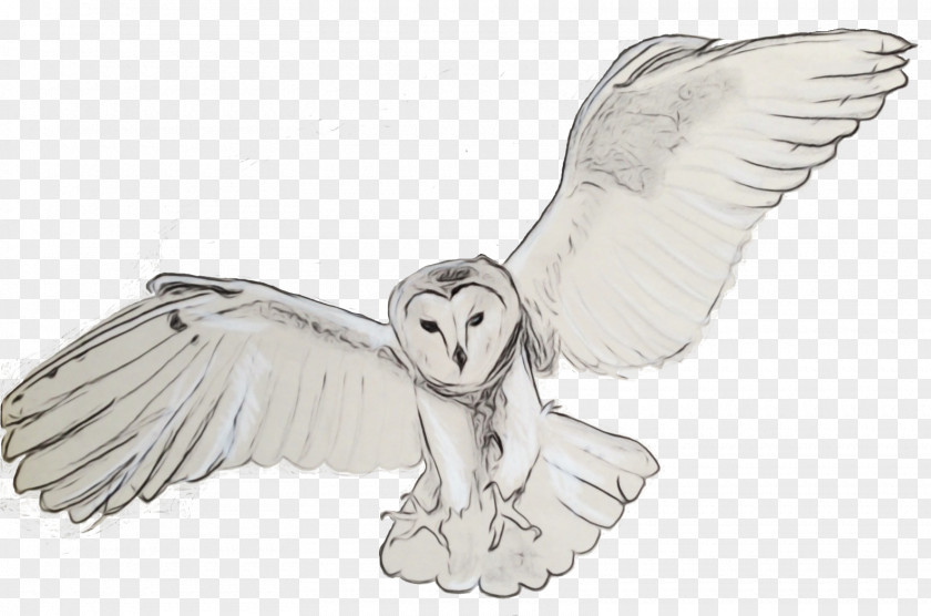 Supernatural Creature Fictional Character Barn Owl Snowy Line Art Wing PNG