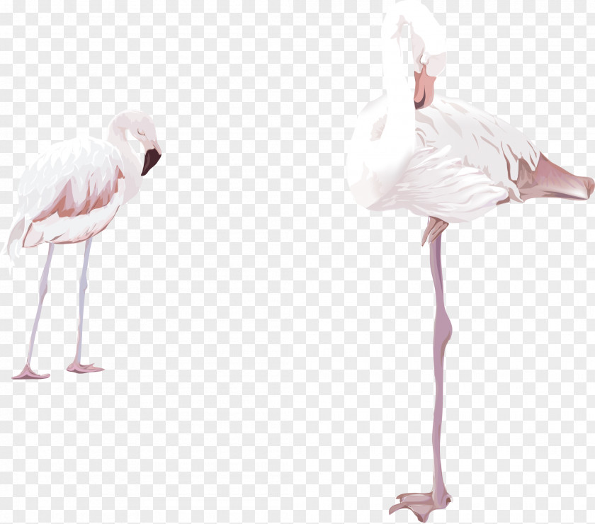Two Vector Watercolor Flamingos Flamingo Clip Art PNG
