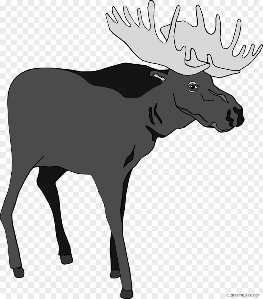 Animal Silhouettes Bullwinkle J. Moose Borders Clip Art PNG