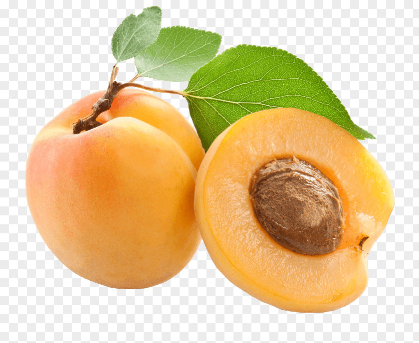 Apricot Kernel Oil Amygdalin PNG