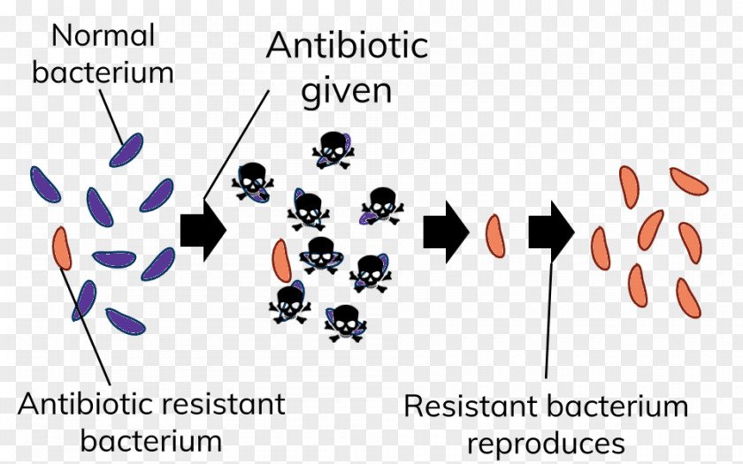 Drug Resistance Brand Logo Line Technology PNG