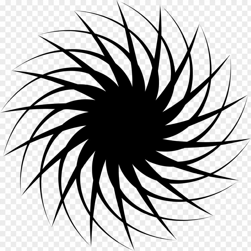 Flower Line Art Drawing Black And White Clip PNG