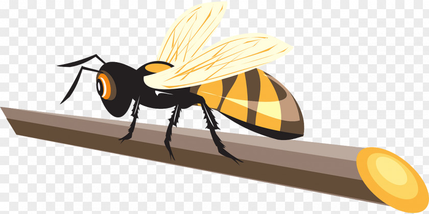 Bee Western Honey Hornet Beetle PNG