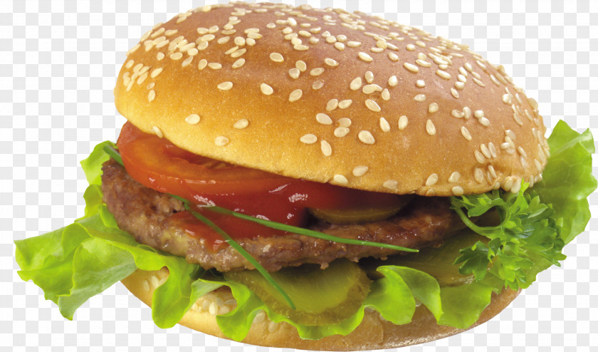 Burger Hamburger French Fries Fast Food Chicken Sandwich Cheeseburger PNG