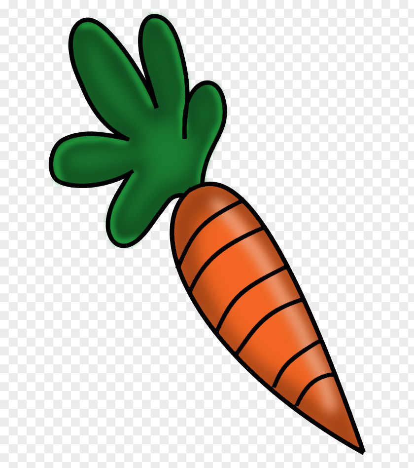 Carrot Tree Food Leaf Plant PNG