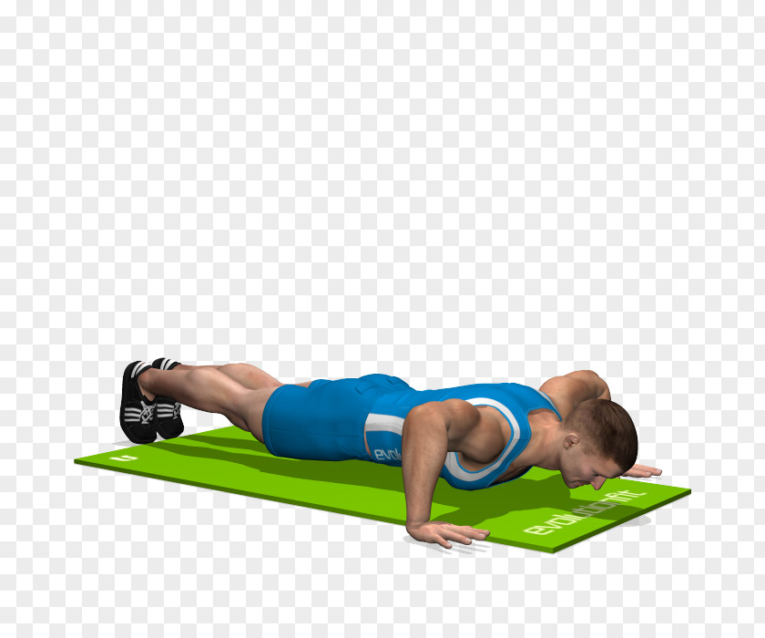 Fly Pilates Plank Exercise Bench Press PNG