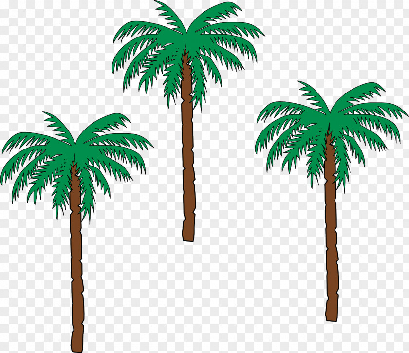 Palm Tree La Palma Del Condado Arecaceae Date PNG