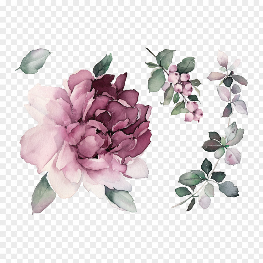 Peony Chinese Abziehtattoo Cosmetics Cabbage Rose PNG