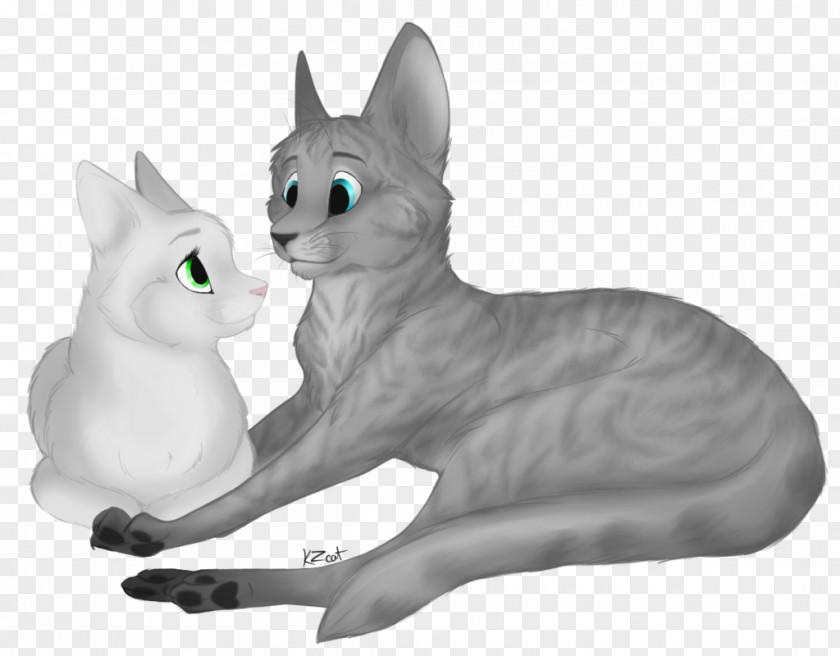 Kitten Whiskers Warriors Cat Jayfeather PNG