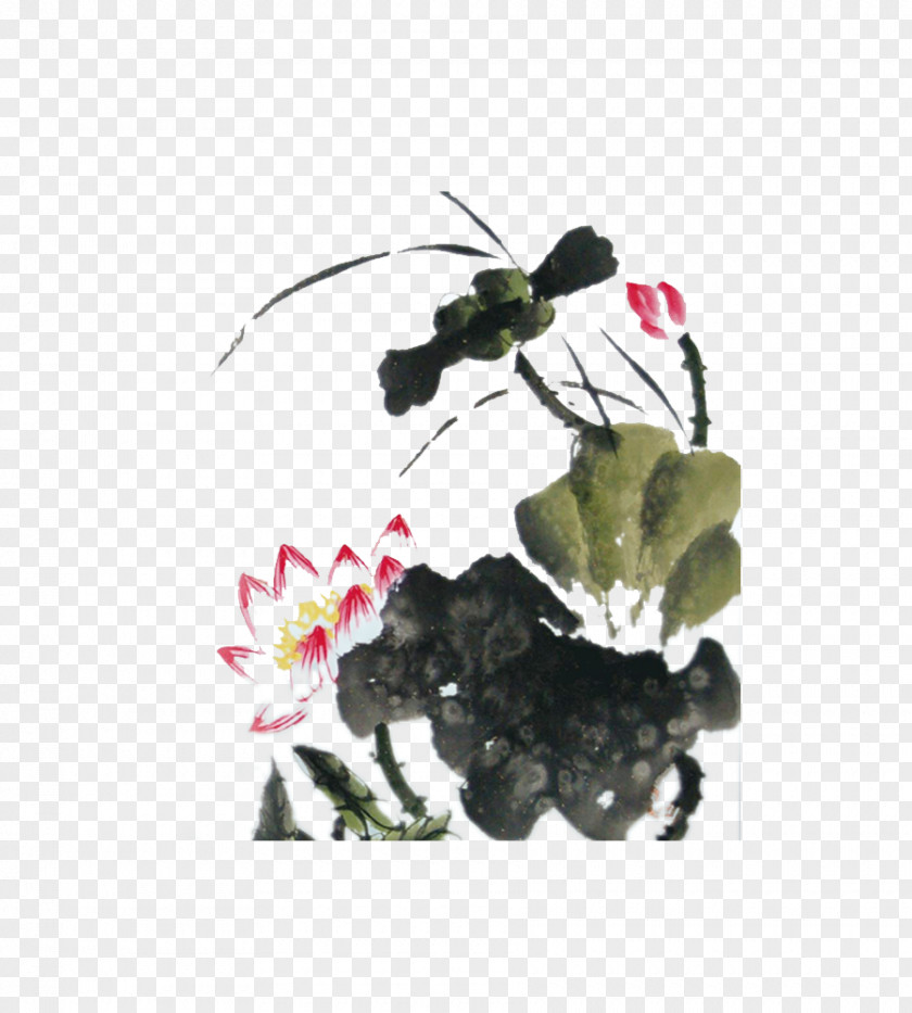 Lotus Leaf Element U756bu8377u82b1 Ink Wash Painting Nelumbo Nucifera Bird-and-flower PNG