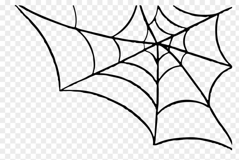 Spider Web Clip Art PNG