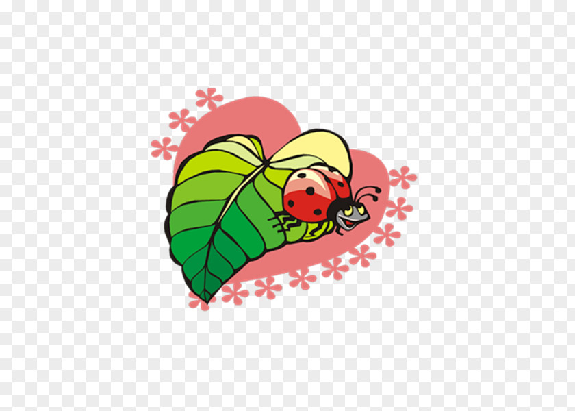 Fo Ladybird Beetle Clip Art PNG