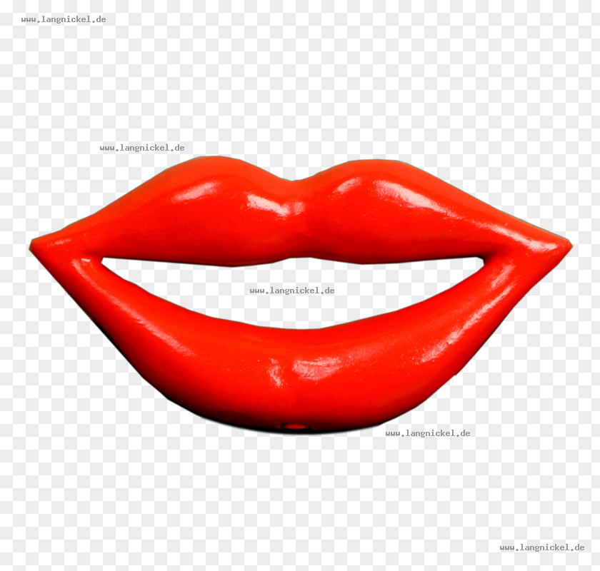 Gips Lip Mouth Birgisch Long Tail Keyword PNG