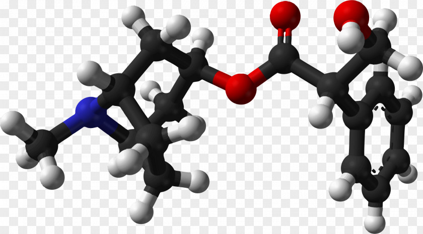 Molecule Belladonna Mandrake Atropine Bittersweet Poison PNG