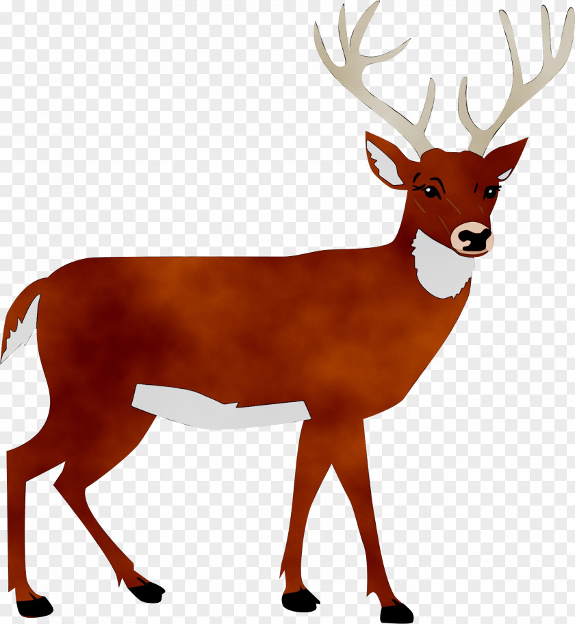 White-tailed Deer Clip Art Silhouette PNG
