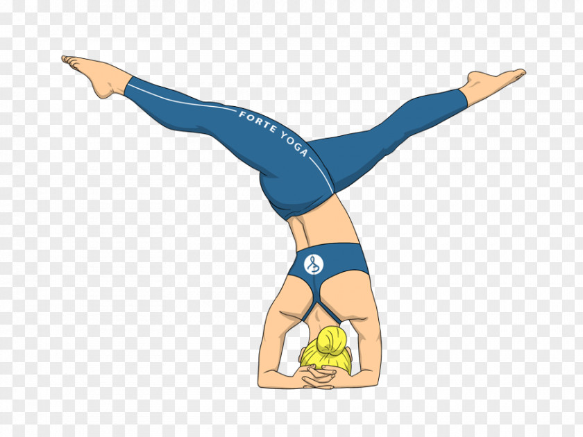 Yoga Headstand Sirsasana Sarvangasana Handstand PNG