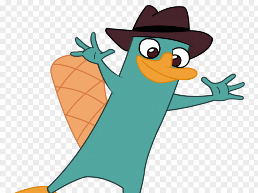 Humor Perry The Platypus Ferb Fletcher Phineas Flynn PNG