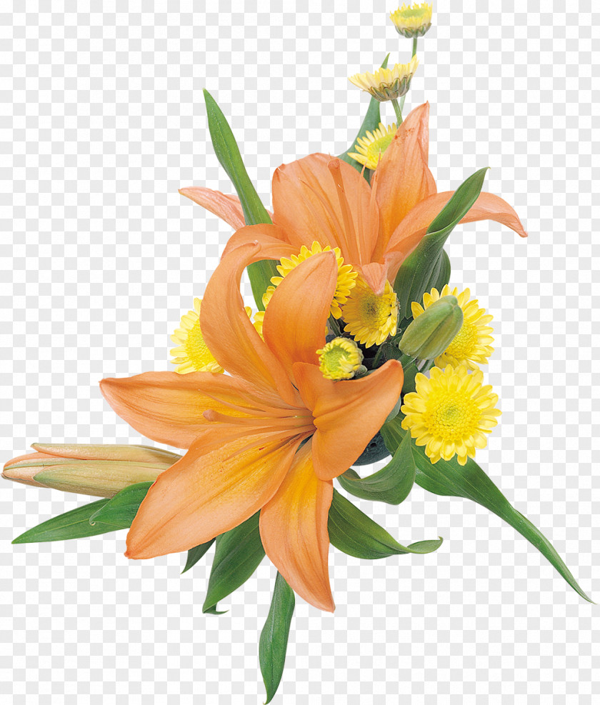 Lilies Cut Flowers Lilium Clip Art PNG