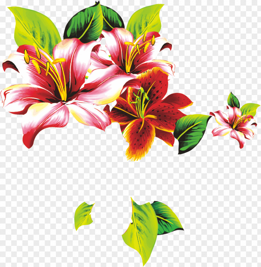 Lily Flowers Floral Design Lilium Petal Flower PNG