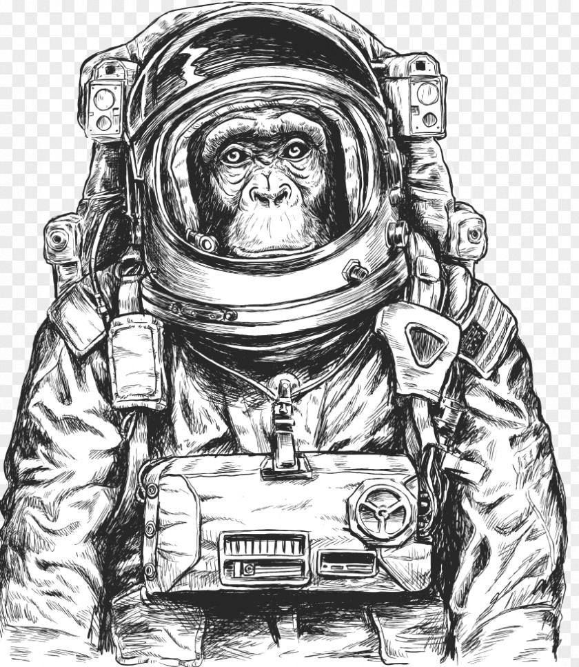 Astronaut Vector Chimpanzee Monkeys And Apes In Space PNG