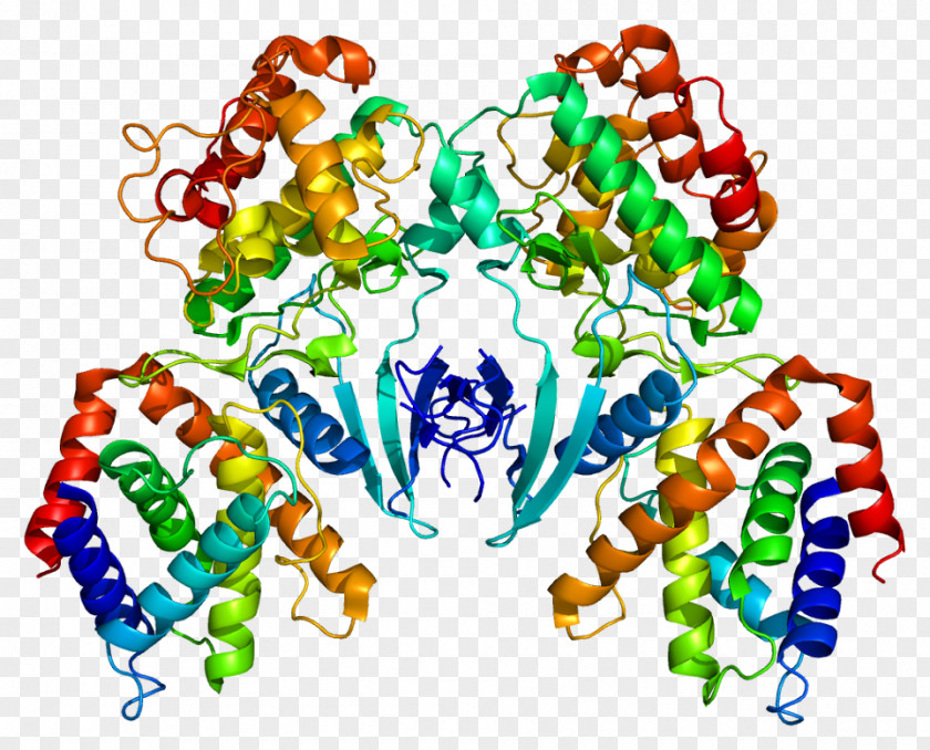 CDK5R1 Cyclin-dependent Kinase 5 Gene PNG