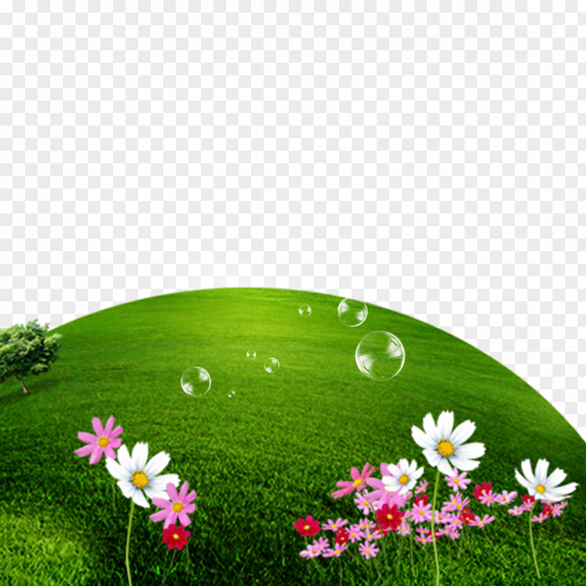 Creative Green Grass Earth Computer File PNG