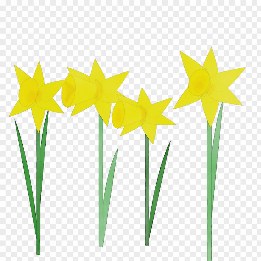 Flower Plant Stem Yellow Clip Art Grass Narcissus PNG