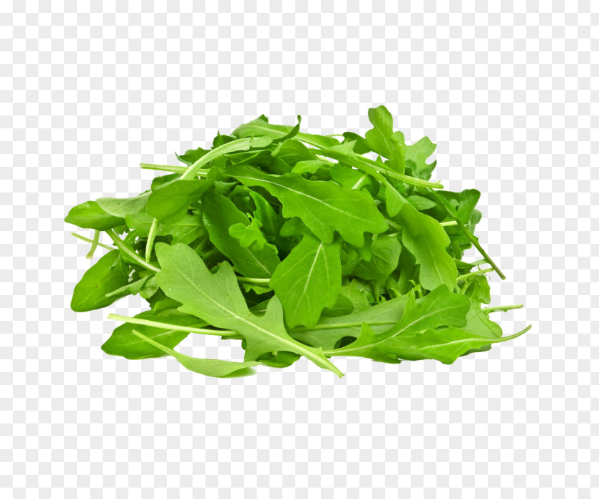 Vegetable Arugula Salad Spinach Organic Food PNG