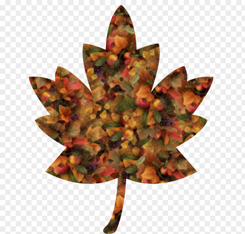 Autumn Maple Leaf Red Clip Art PNG