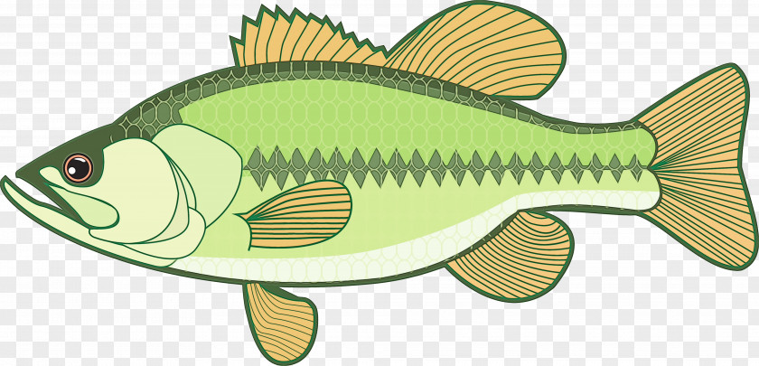 Bonyfish Perch Fishing Cartoon PNG