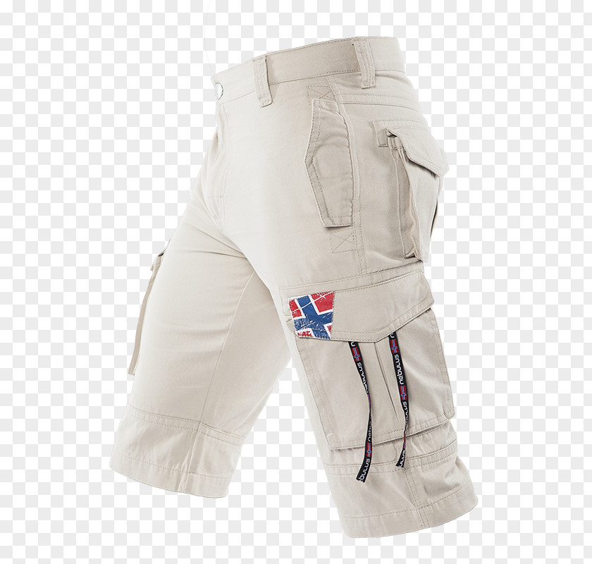 Boody Bermuda Shorts Pants PNG