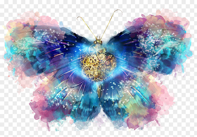 Butterfly Painting Image PNG