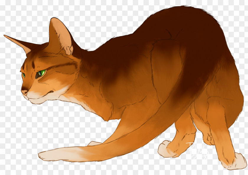 Kitten Whiskers Cat Warriors Red Fox PNG