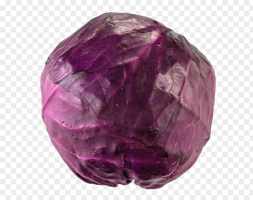 Large Pieces Of Purple Cabbage Red Vegetable PNG