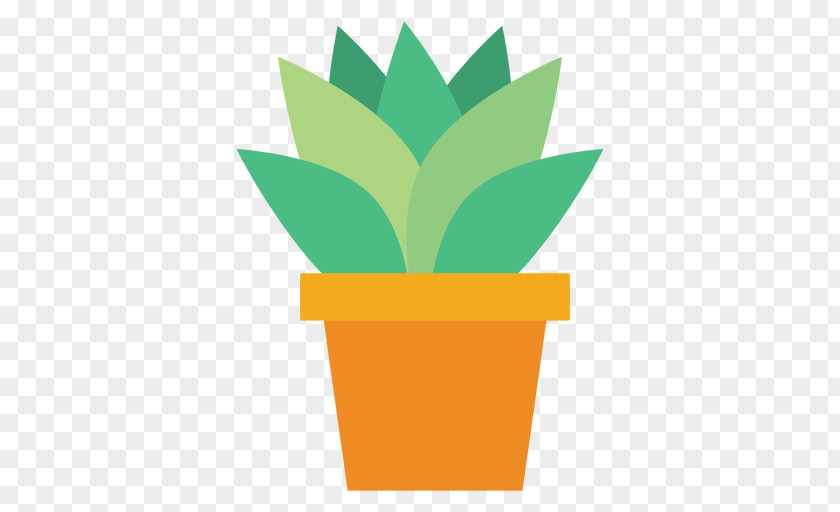 Plant Flowerpot Cactaceae Clip Art PNG